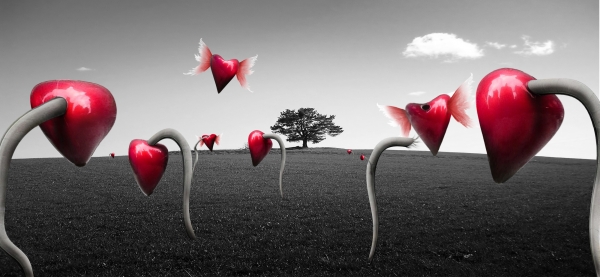 Creation of Field of hearts: Step 9